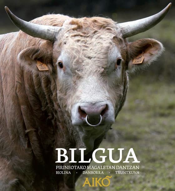 "Bilgua" Aikoren CD berria