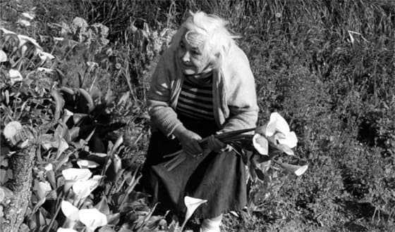 Maria Arriagak, Alejandro Aldekoaren emazteak, 100 urte! Zorionak!