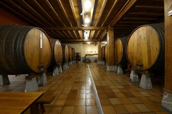 Sagardotegian dantzan Aiko taldearekin (plaza mugatuak)