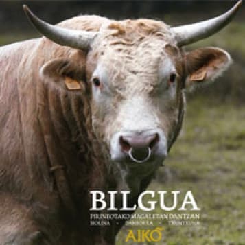 BILGUA - Pirineotako magaletan dantzan